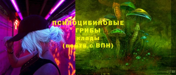 2c-b Алзамай
