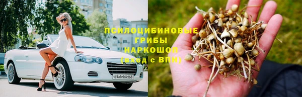 2c-b Алзамай