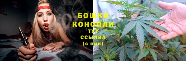 2c-b Алзамай